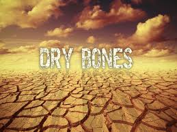 dry bones