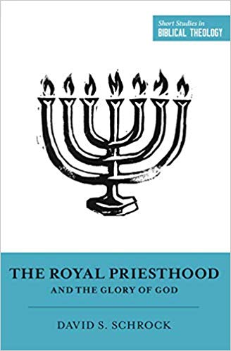 41gzmdxgXRL._SX326_BO1,204,203,200_