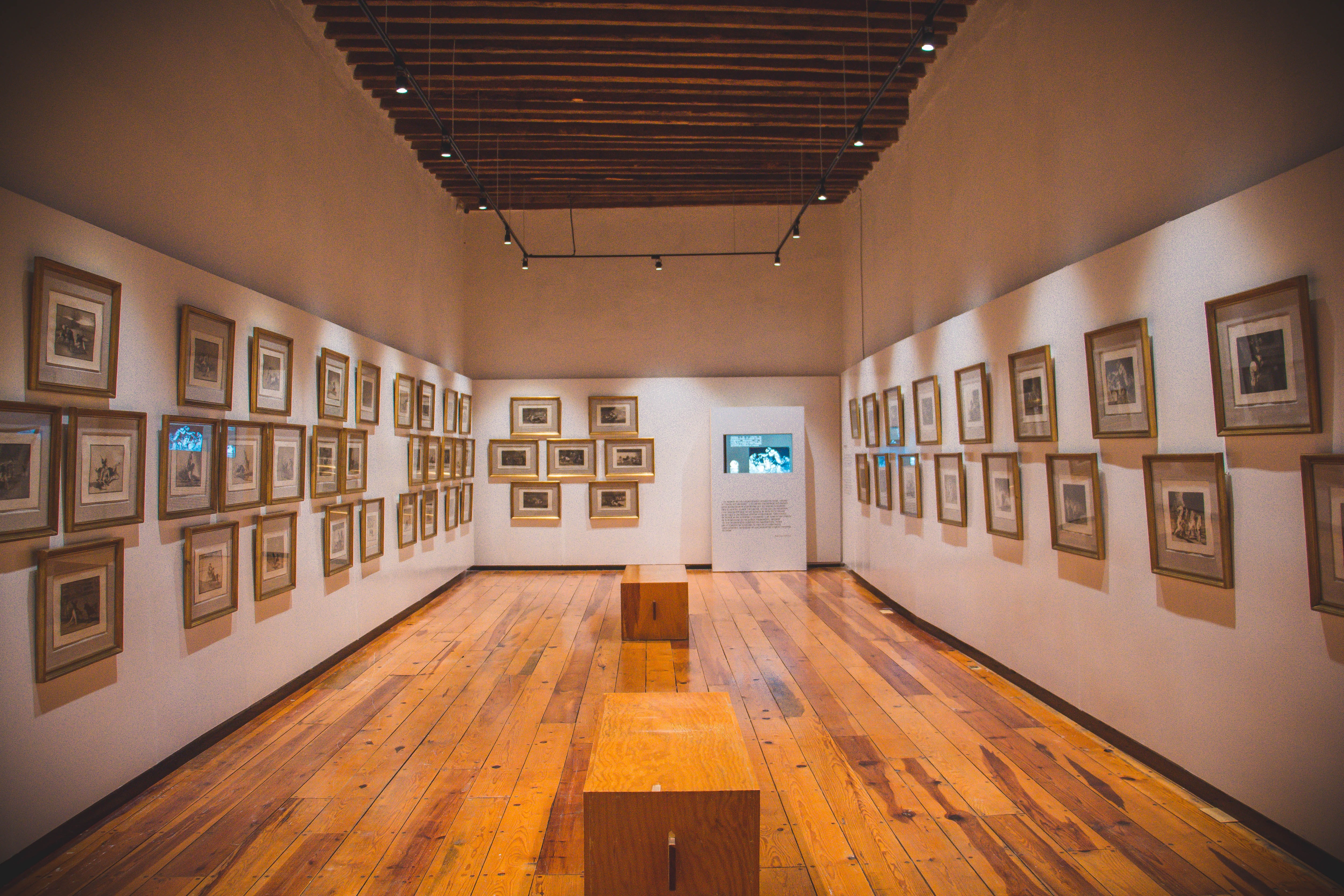 eduardo-pastor-pDAipmK6eRg-unsplash