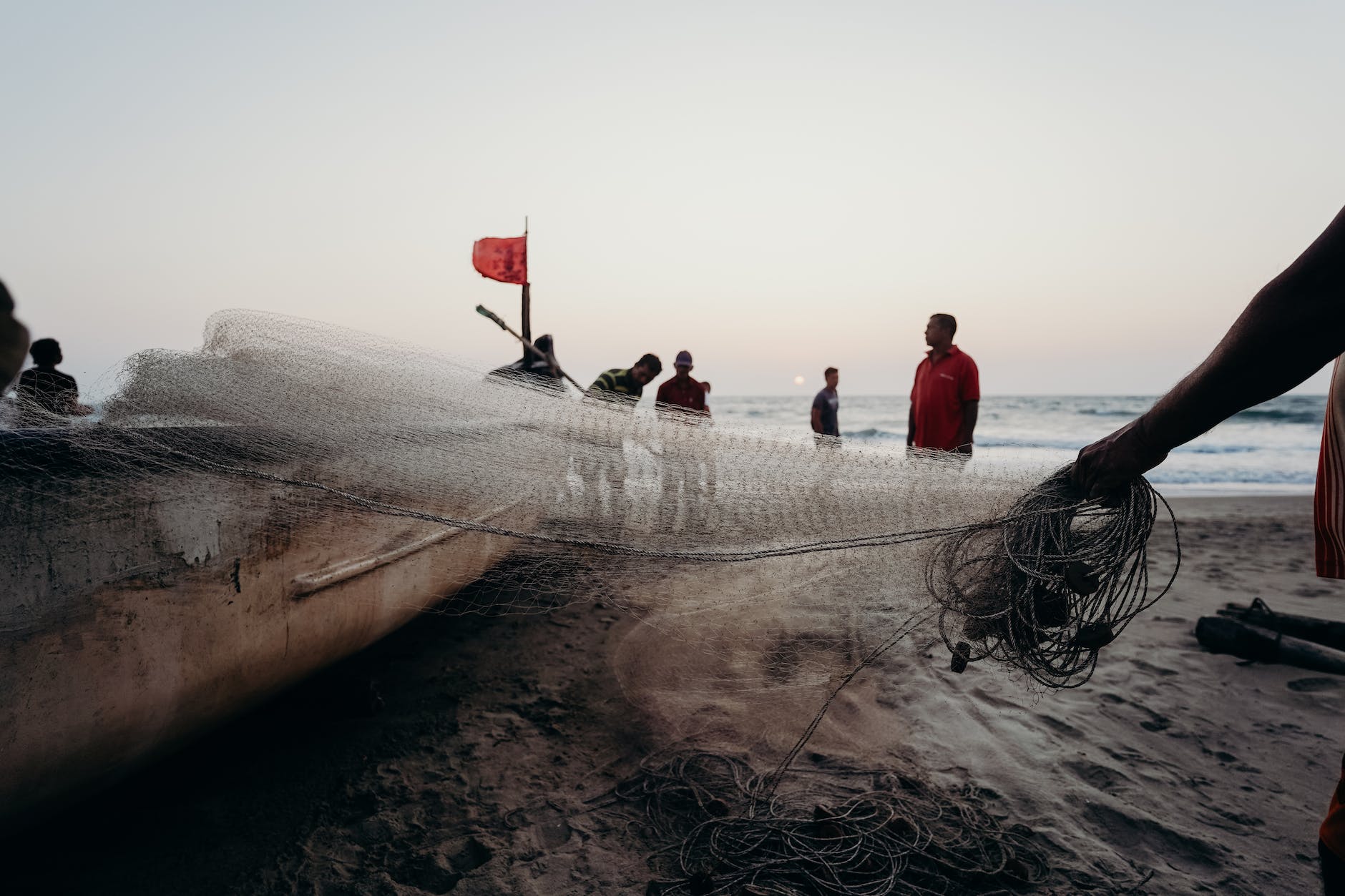 people standing on brown wooden dock