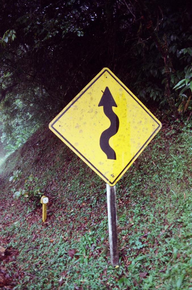 winding road warning sign near the forest